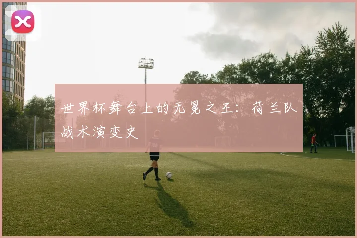 世界杯舞台上的无冕之王:荷兰队战术演变史