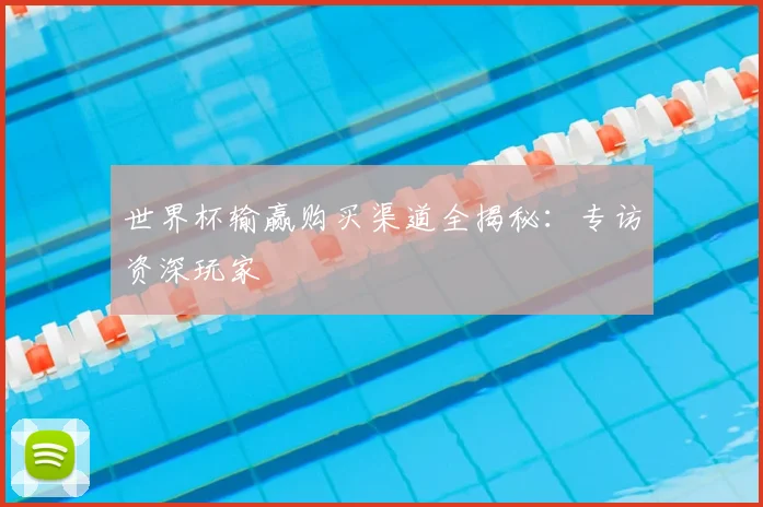 世界杯输赢购买渠道全揭秘:专访资深玩家
